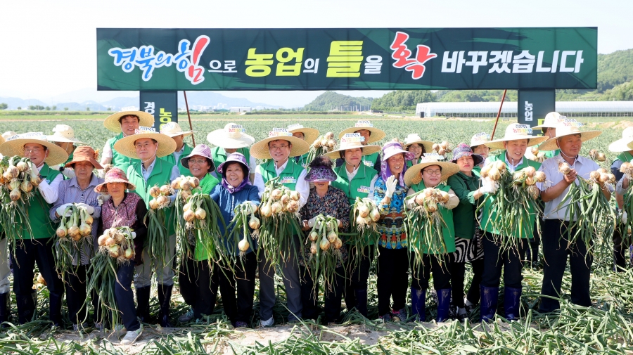 경북 농업대전환 성과보고회(양파수확).jpg