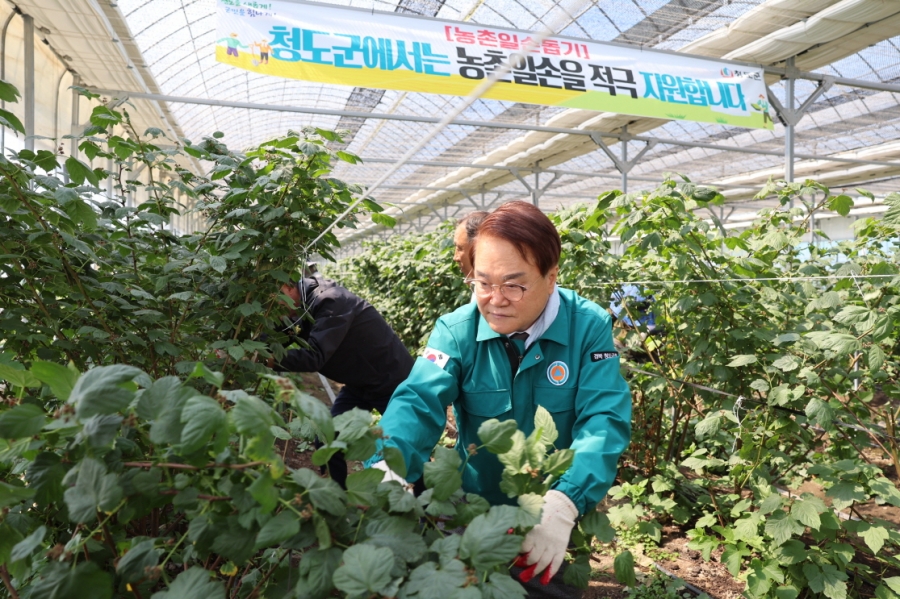청도군, 2025년 봄철 농촌일손...
