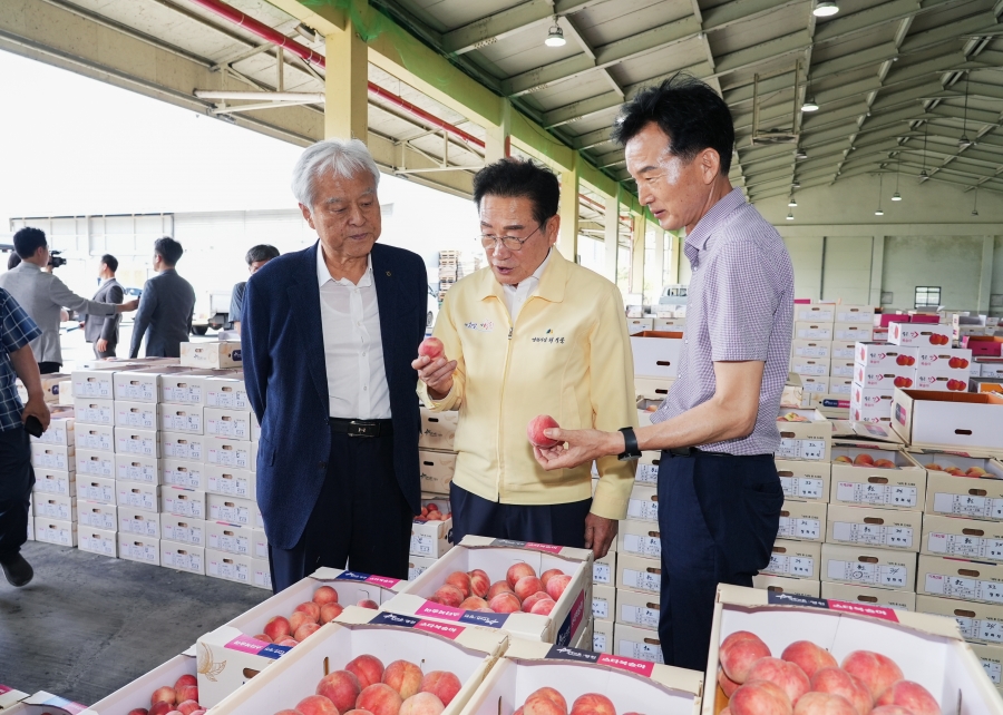 전국 최대 과일의 고장 영천, 여름철 과일 본격 출하 현장 방문.jpg