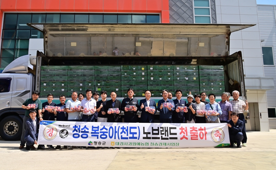 청송군, 청송복숭아 대형유통 첫 출하 실시.jpg