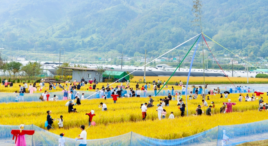 성주군, 2025 성주가야산 황금들녘 메뚜기축제 개최.png