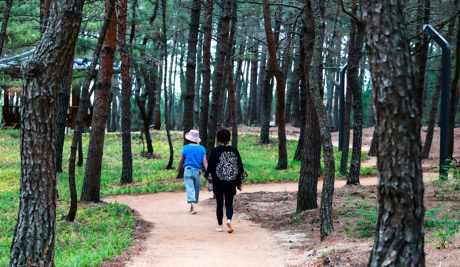 울진 월송정 맨발걷기길.jpg