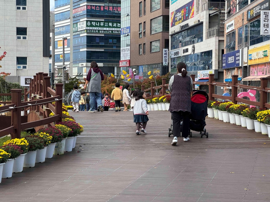 예천군, 국화정원 조성.jpg