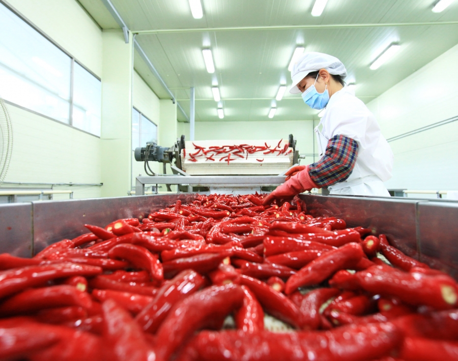 영양군, 작지만 강한 부자 농촌으로.jpg