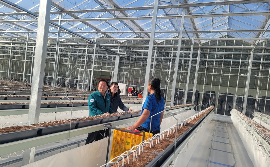 봉화군, 임대형 스마트팜단지 A동 2구역 쪽파 파종 들어가.jpg